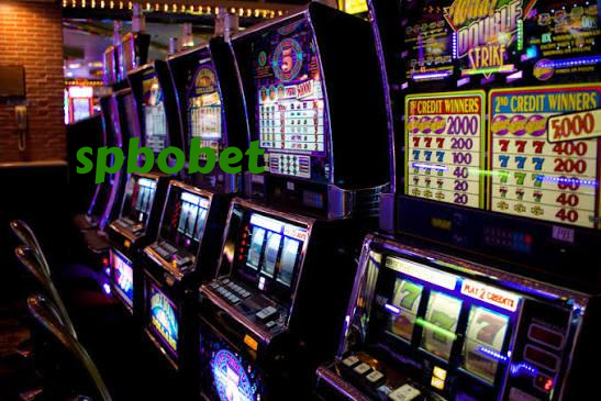 virdsam editorial visual